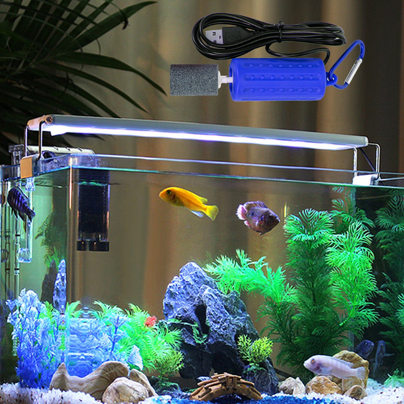 Pompe à air USB Garvee pour aquarium, mini, portable, silencieuse, économe en énergie, tuyau en silicone de 1 m, câble USB de 1,5 m, pour aquariums de petite et moyenne taille.