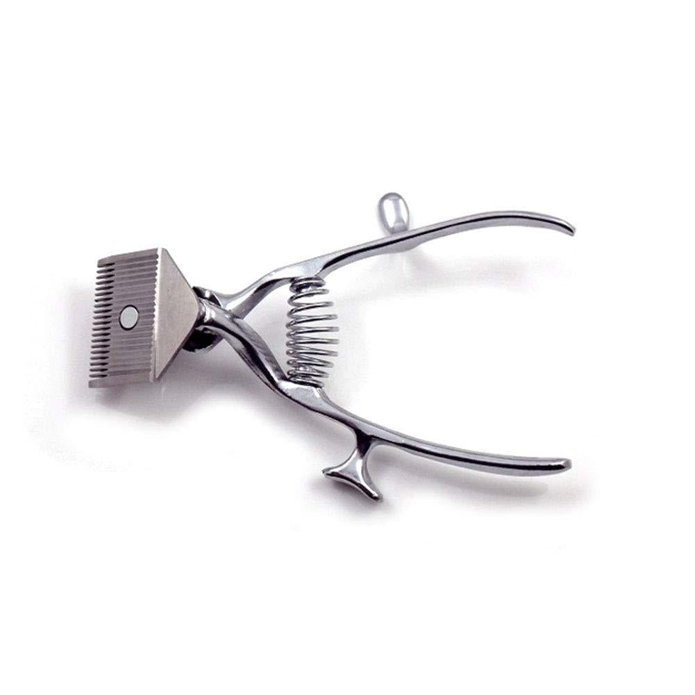 Tondeuse Garvee pour chiens et chats - Tondeuse à poils pour chiens et chats - Silencieuse et précise - Acier inoxydable et hypoallergénique - Rechargeable et sans fil - Pour la maison et les voyages