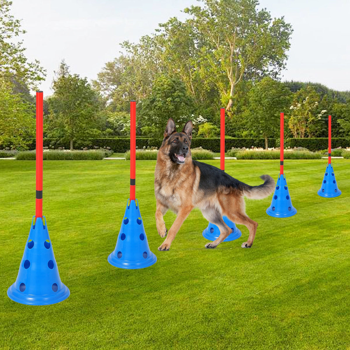 Garvee Parcours d'agilité pour chiens avec 12 cônes, 6 barres, réglable, en ABS, pour l'entraînement en extérieur, portable et polyvalent