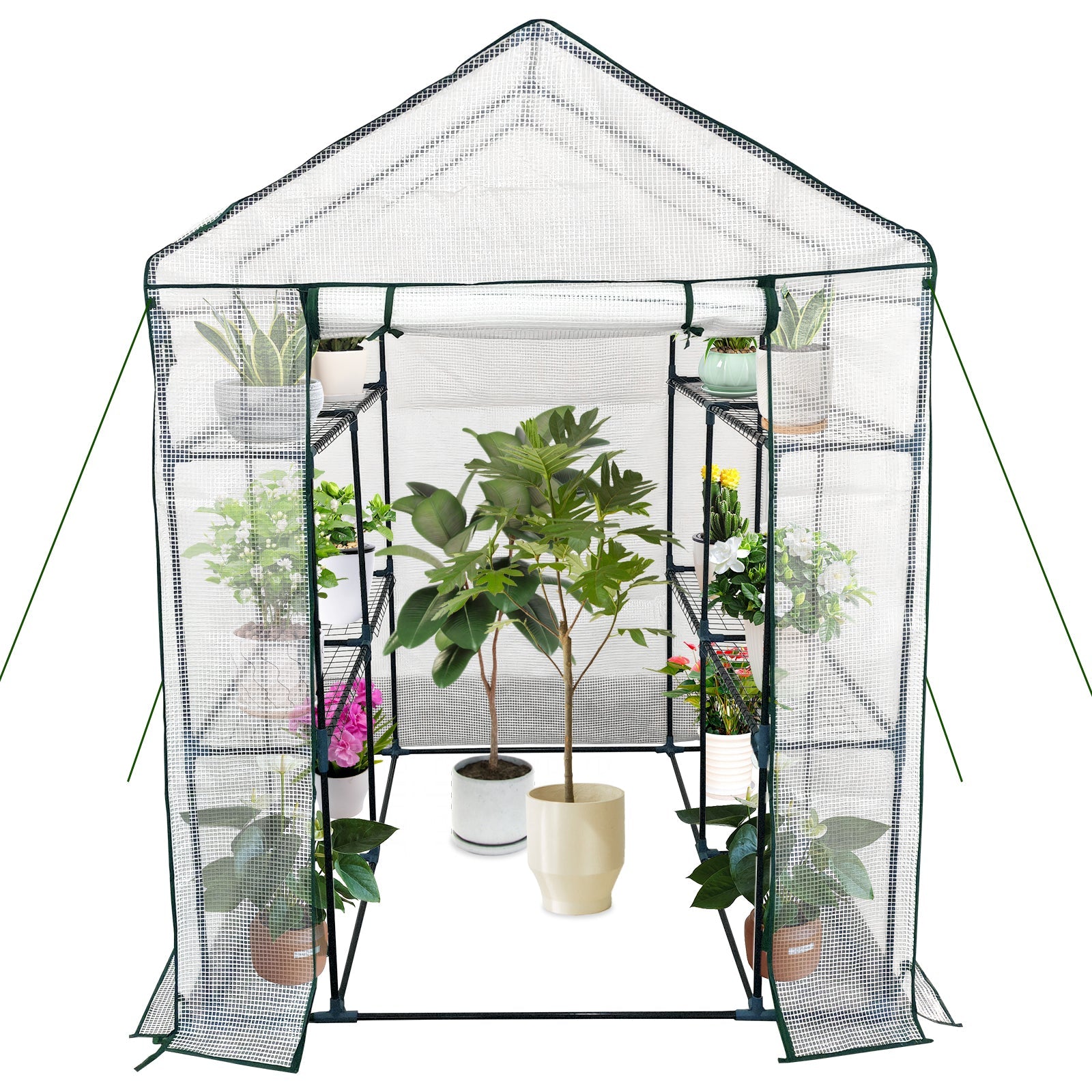 Serre de jardin Garvee 145 x 145 x 193 cm, structure en acier robuste, 3 niveaux, porte enroulable avec fermeture éclair, portable pour jardin et terrasse.