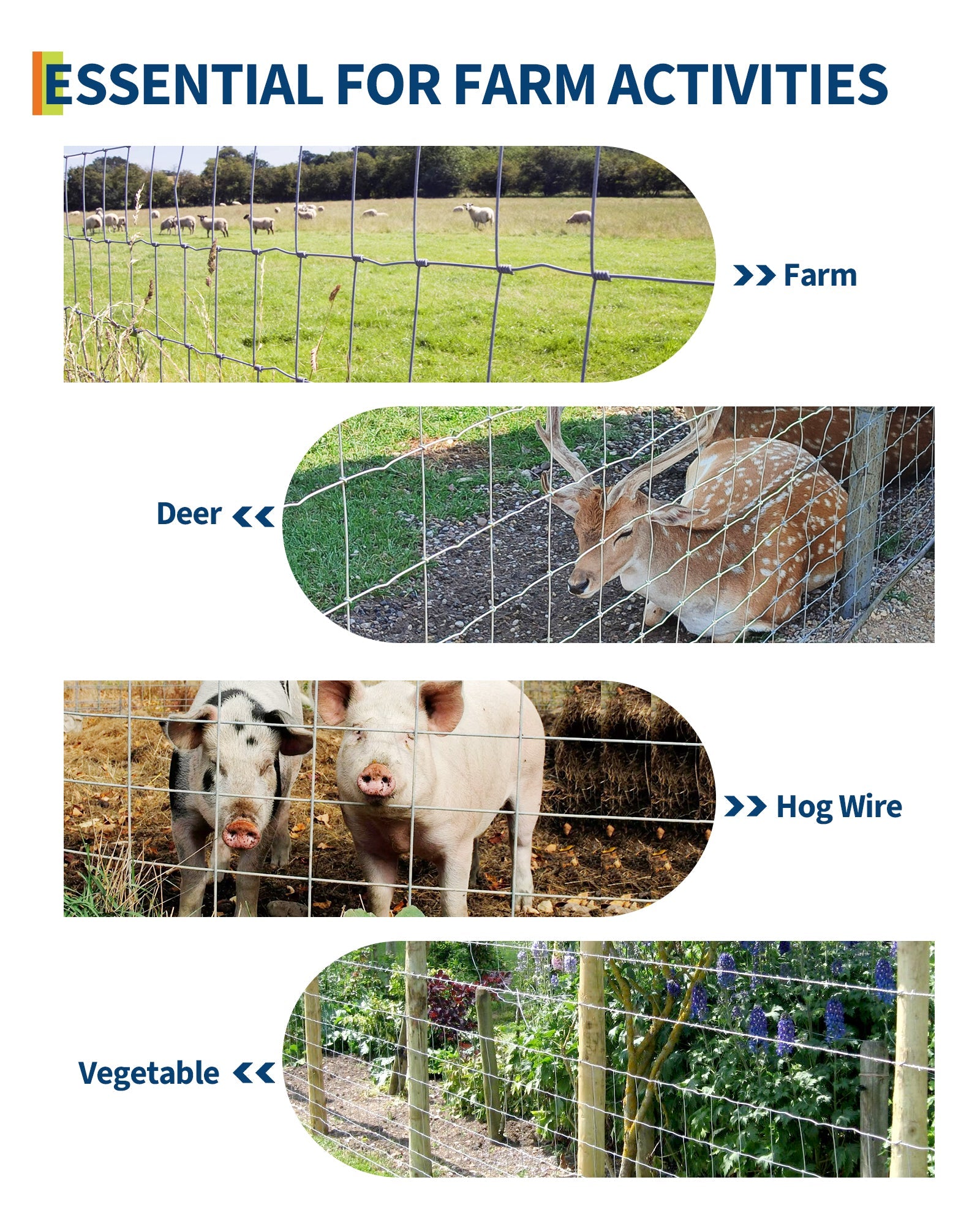 Garvee Grillage Métallique Simple Torsion Galvanisé 1,8 x 100 m, Clôture Robuste pour Ferme, Jardin et Enclos Agricole