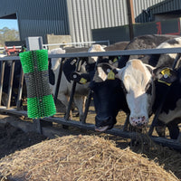 Brosse à gratter pour bétail Garvee - Poils robustes, fixation par vis pour étable et pâturage, conception flexible pour bovins, chèvres, chevaux et porcs - Élimination efficace des parasites