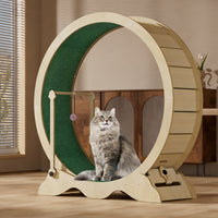PPS_337475Y9