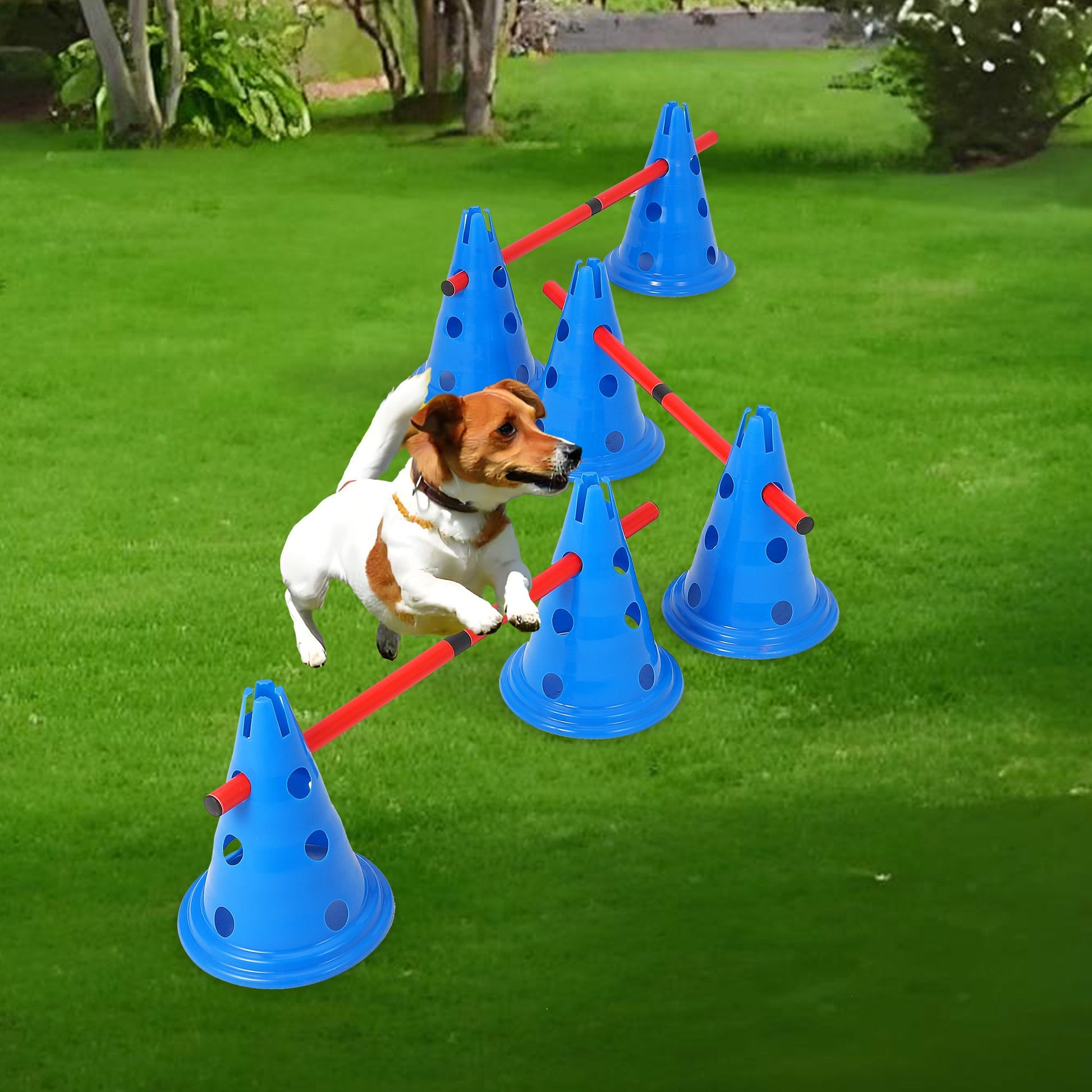 Garvee Parcours d'agilité pour chiens avec 12 cônes, 6 barres, réglable, en ABS, pour l'entraînement en extérieur, portable et polyvalent