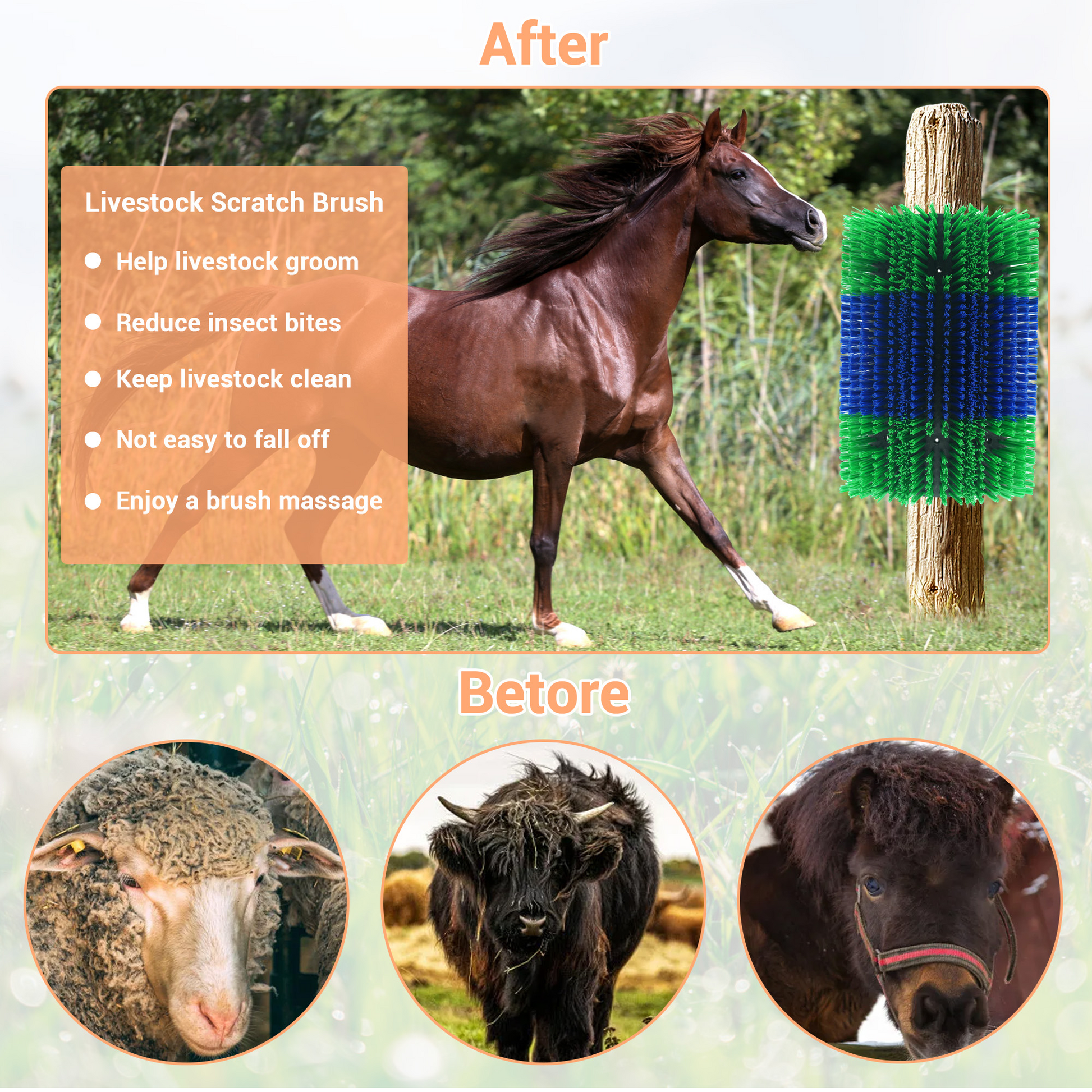 Brosse à gratter Garvee (lot de 2) pour bovins, chevaux et chèvres - Extensible et flexible - Nylon, poils doux - Polyvalente à l'écurie