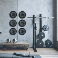 Support mural Garvee pour disques de musculation (6 pièces), en acier, capacité 136 kg, anneaux en caoutchouc, disques de 5 cm, pour salle de sport ou domicile, noir.