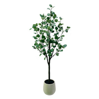 PHK_3957AURH