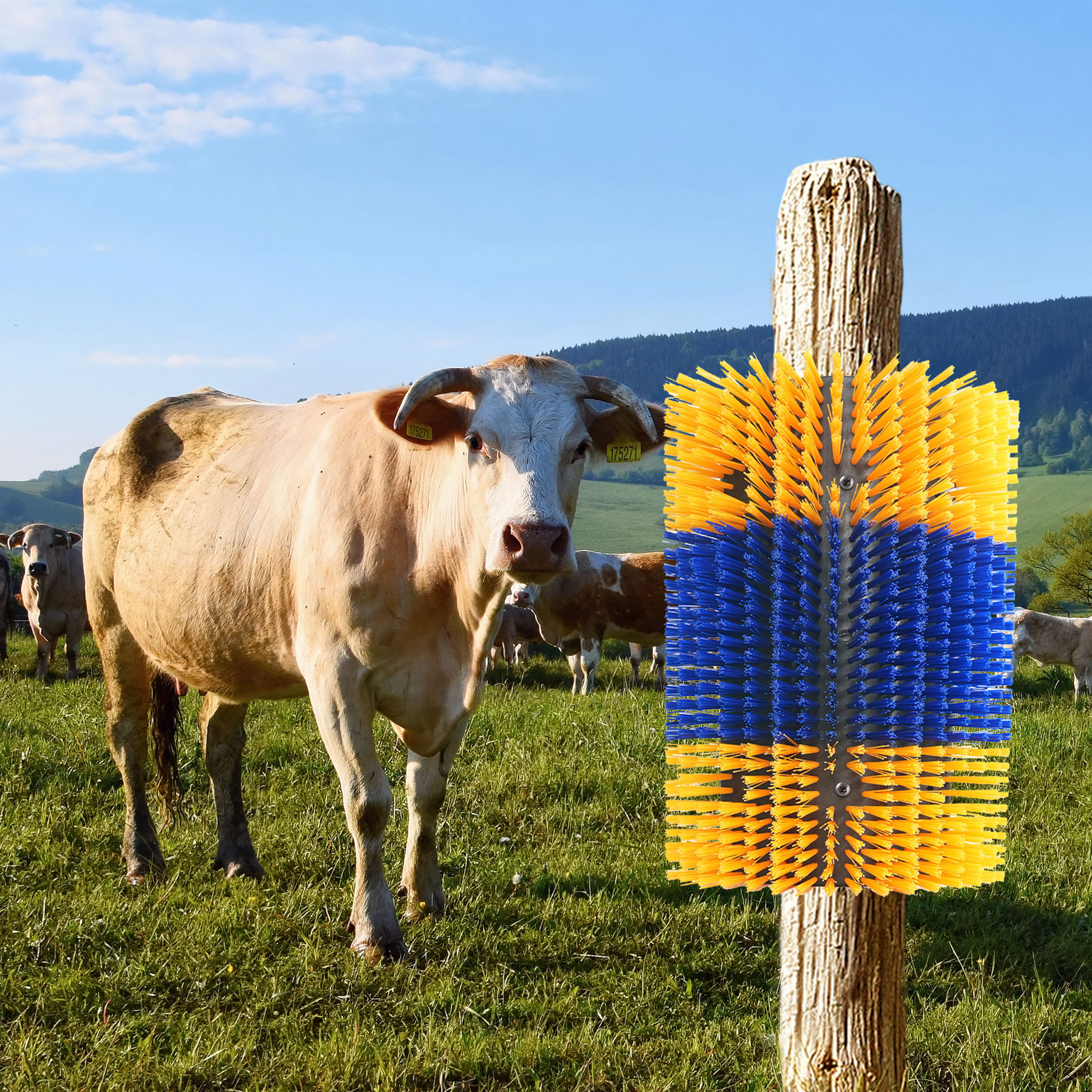 Brosse à gratter Garvee pour animaux (lot de 2) : poils en nylon, fixation flexible, extensible, idéale pour la ferme et les pâturages, polyvalente.