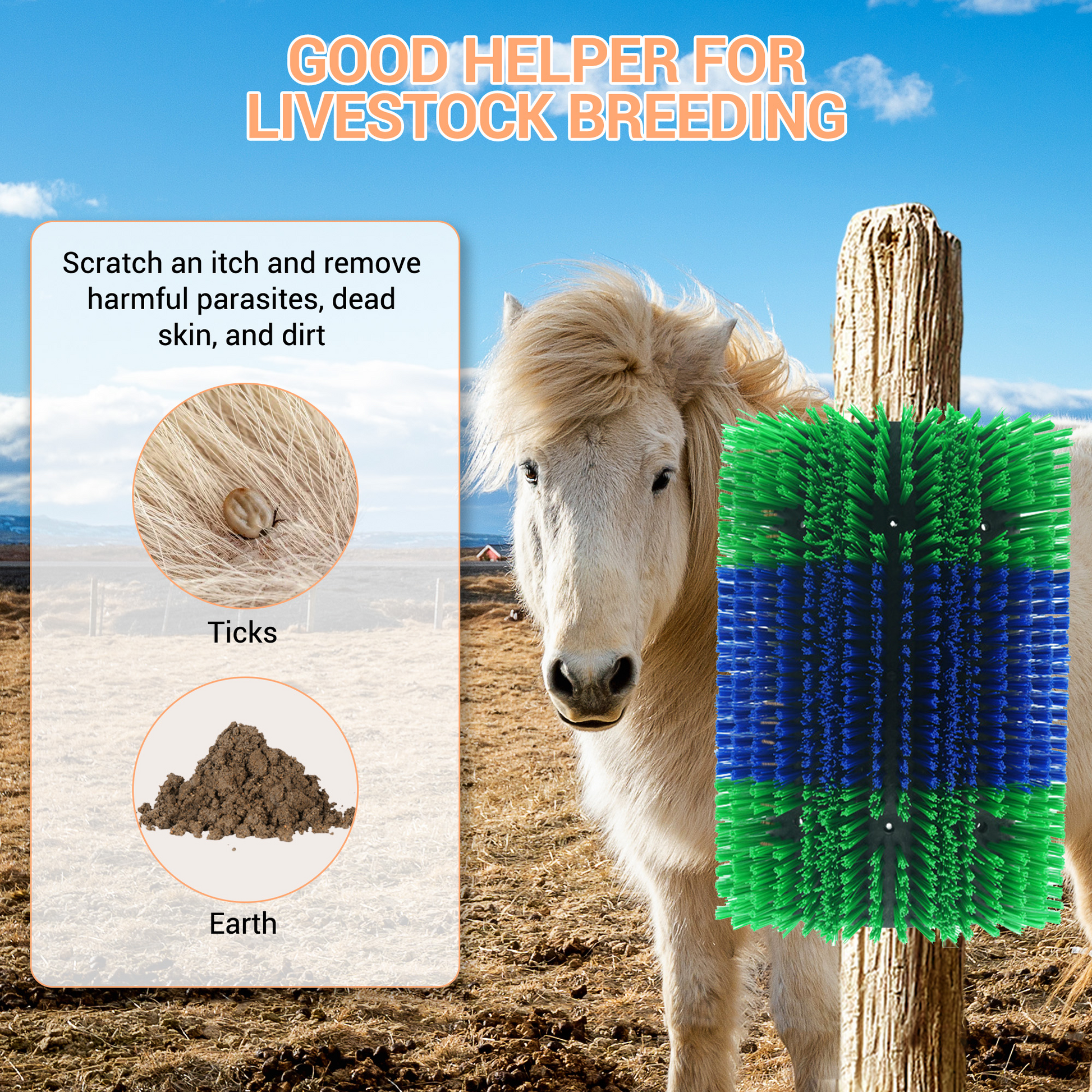 Brosse à gratter Garvee (lot de 2) pour bovins, chevaux et chèvres - Extensible et flexible - Nylon, poils doux - Polyvalente à l'écurie