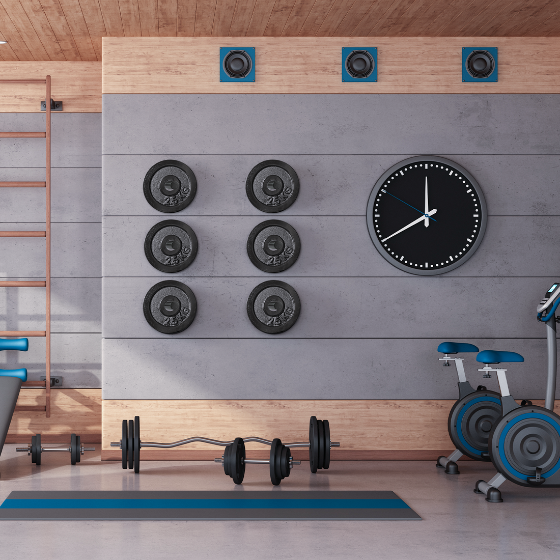 Support mural Garvee pour disques de musculation (6 pièces), en acier, capacité 136 kg, anneaux en caoutchouc, disques de 5 cm, pour salle de sport ou domicile, noir.
